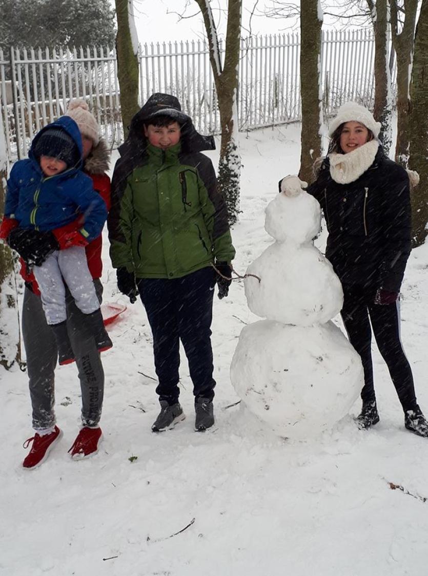 Snow in Tipperary 2018