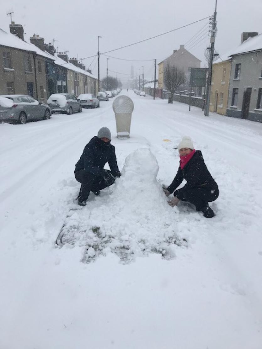 Snow in Tipperary 2018