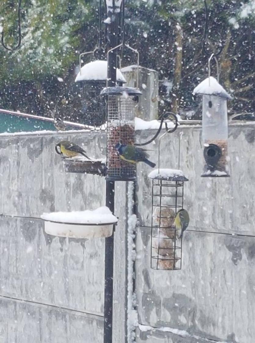 Snow in Tipperary 2018