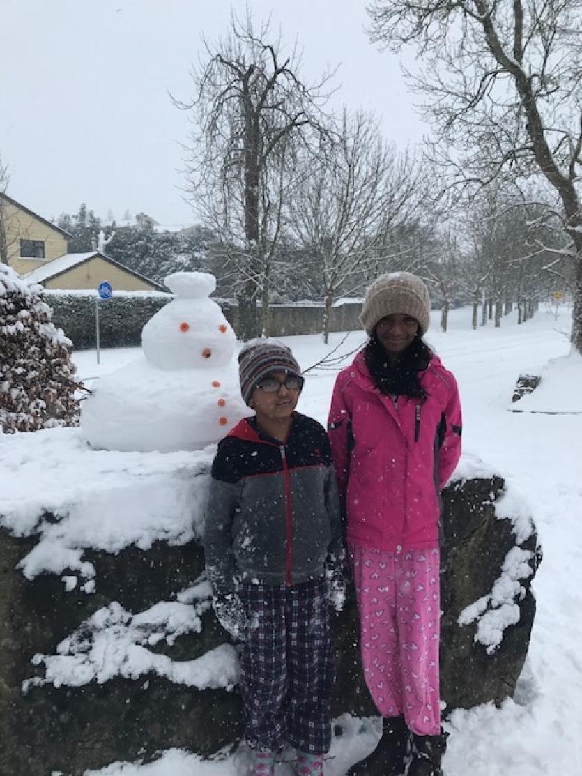 Snow in Tipperary 2018