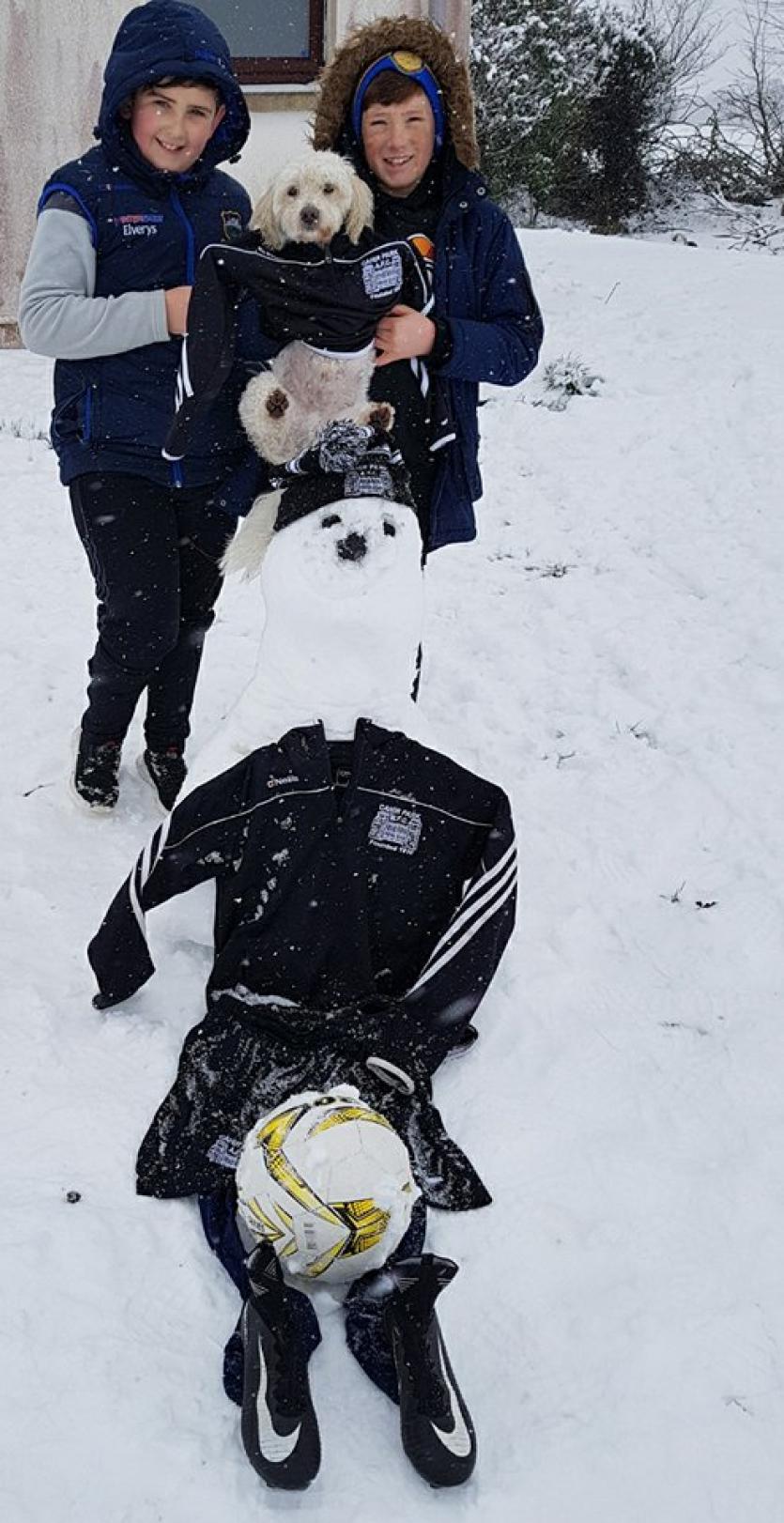 Snow in Tipperary 2018
