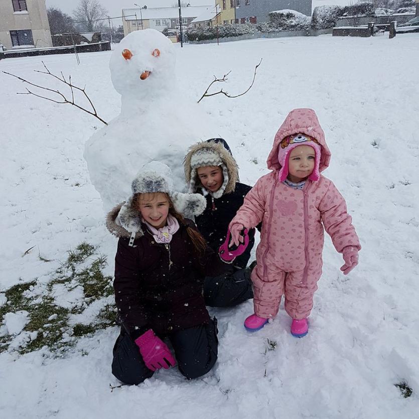 Snow in tipperary 2018