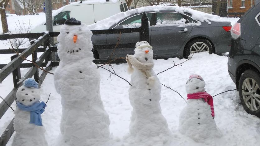 Snow in Tipperary 2018