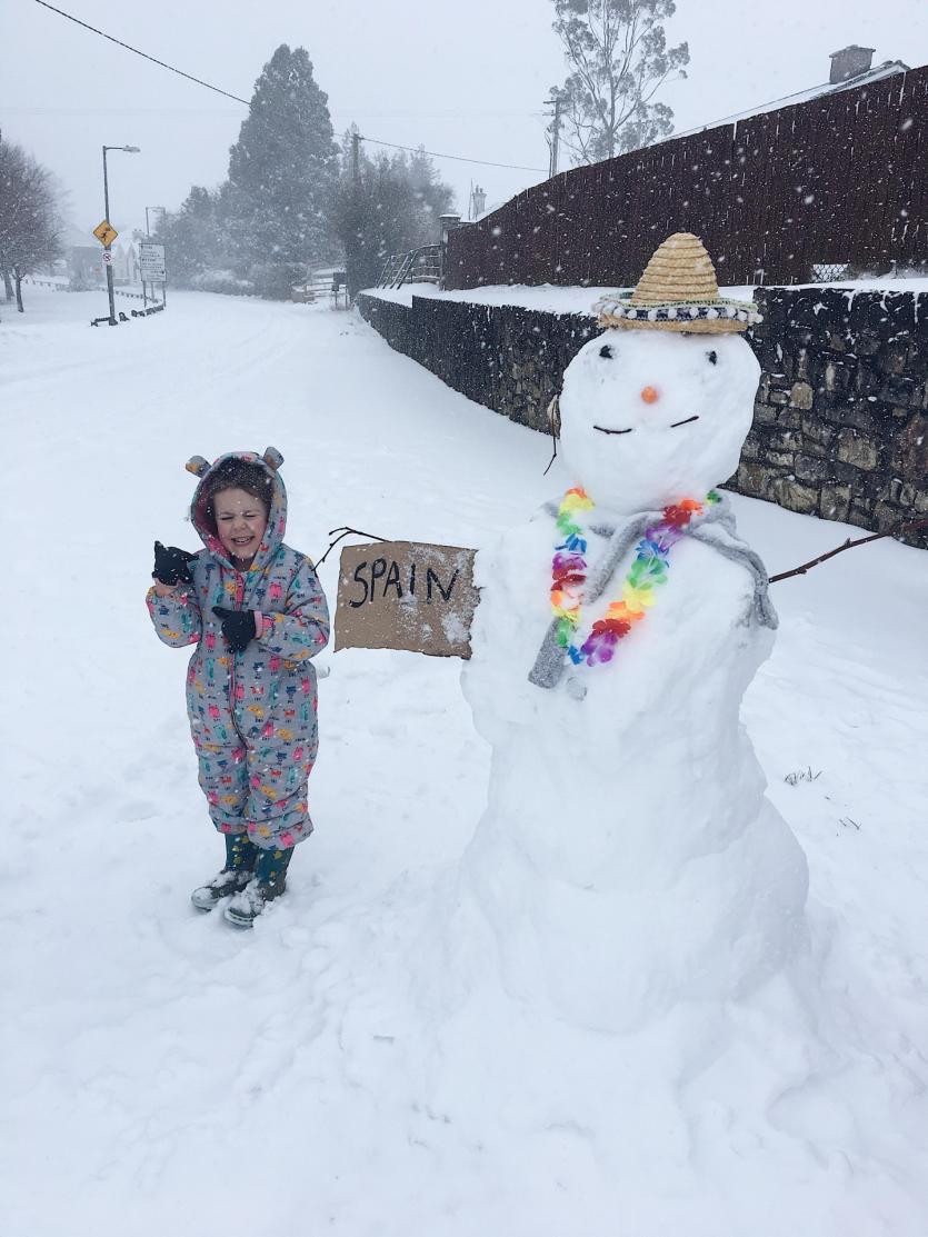 Snow in Tipperary 2018