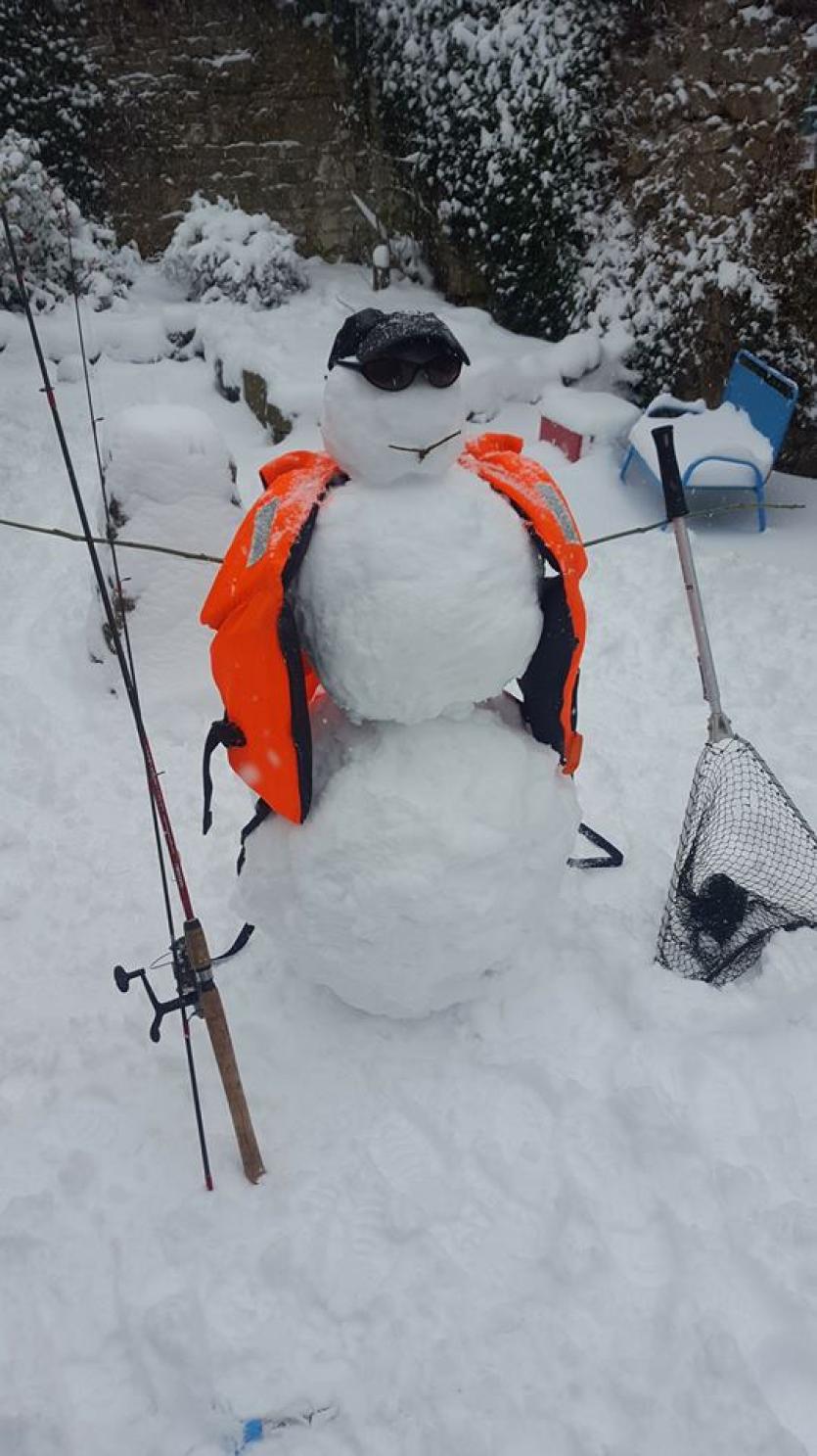 Snow in Tipperary 2018