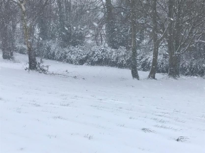 Snow in Tipperary 2018