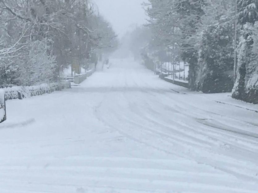 Snow in Tipperary 2018