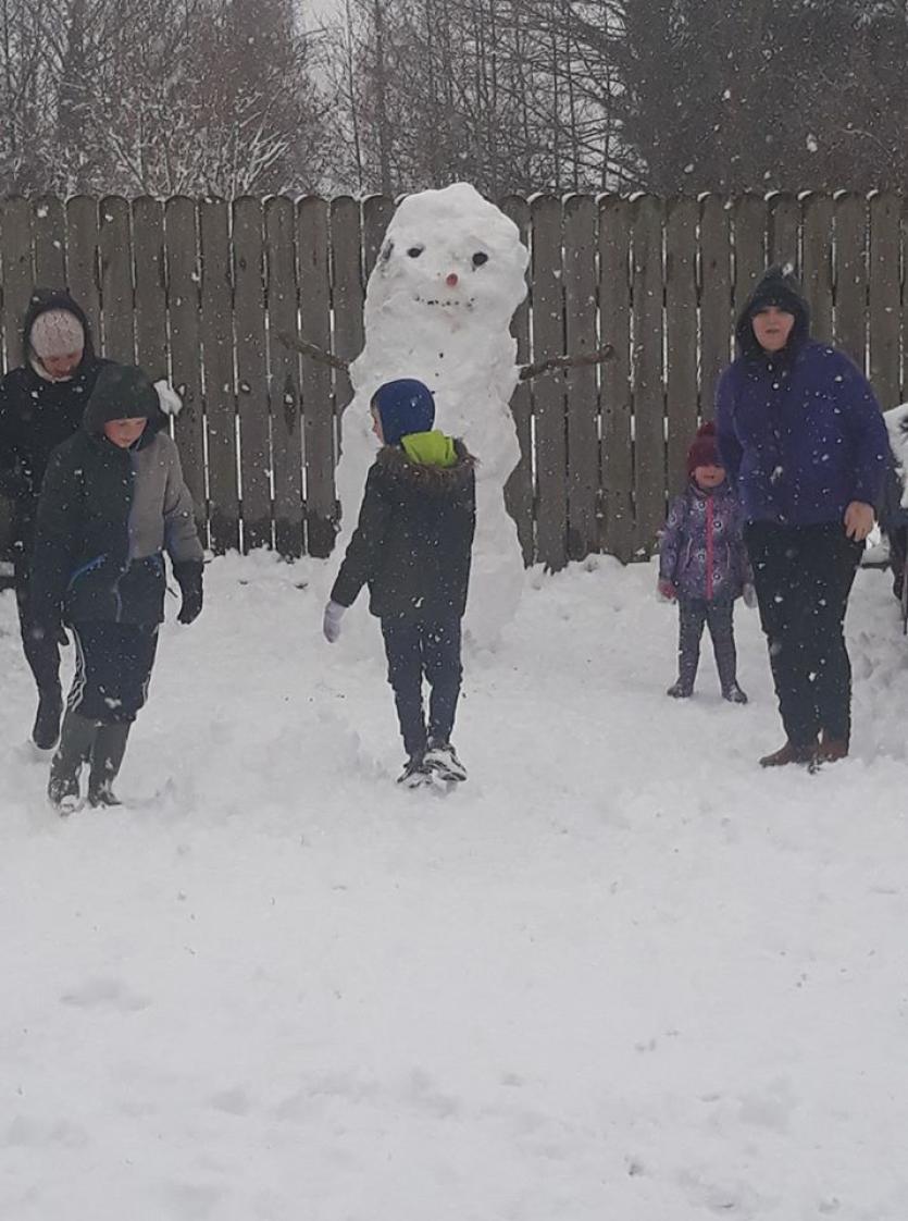 Snow in Tipperary 2018