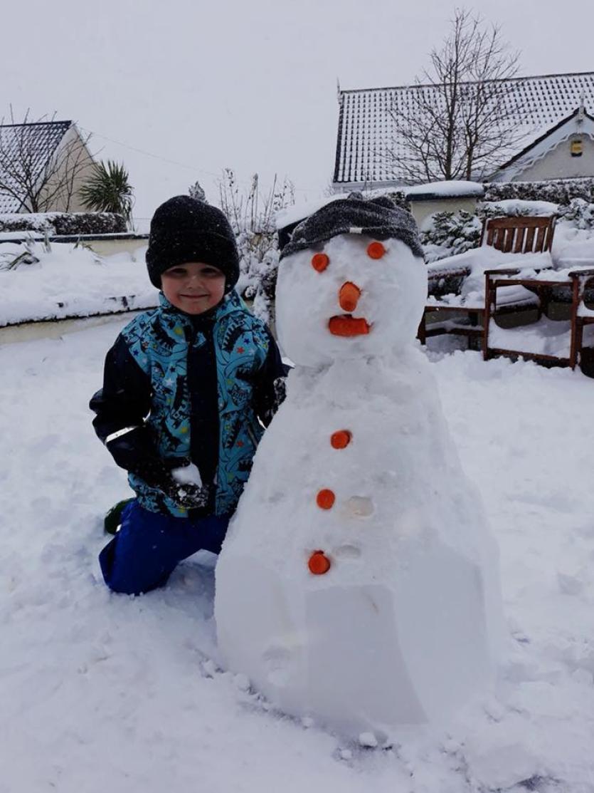 Snow in Tipperary 2018