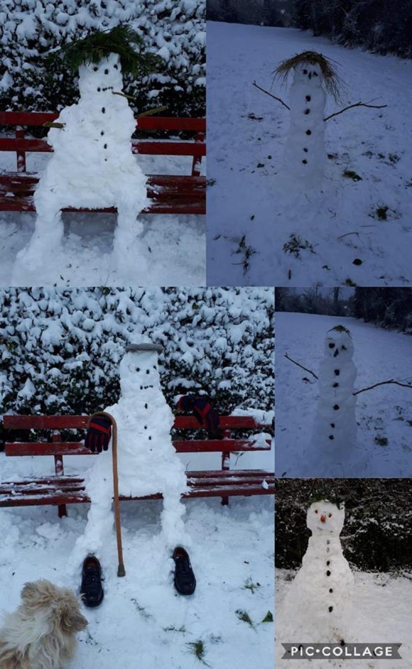 Snow in Tipperary 2018
