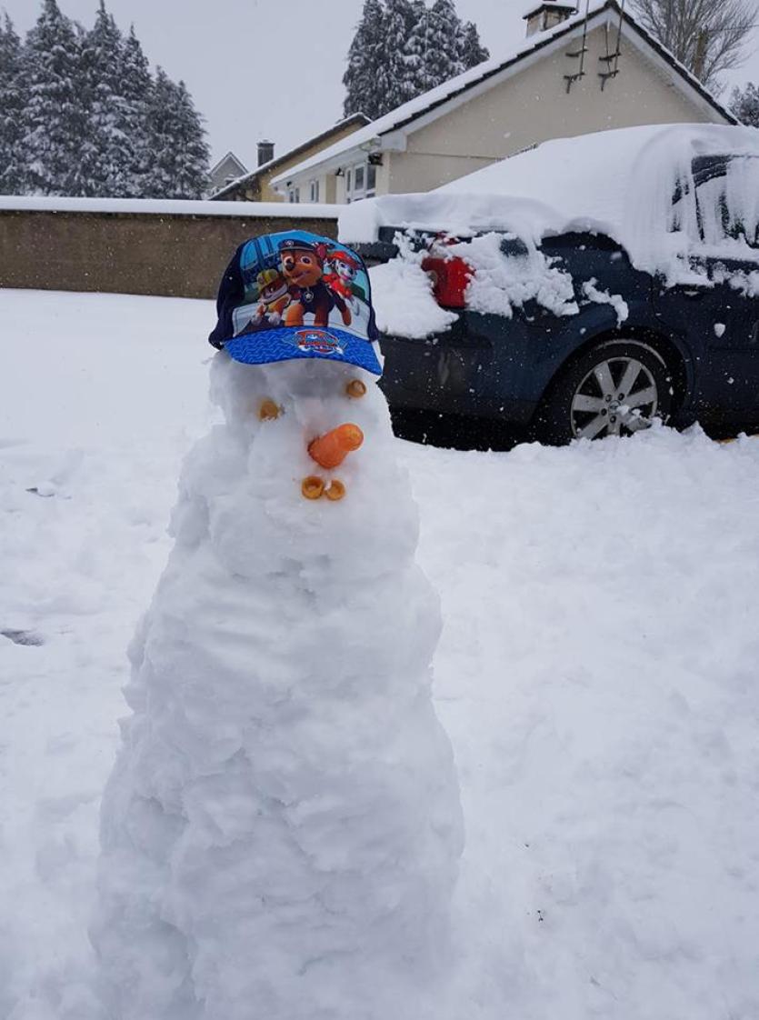 Snow in Tipperary 2018
