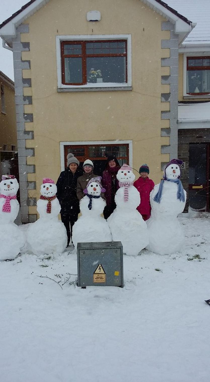 Snow in Tipperary 2018