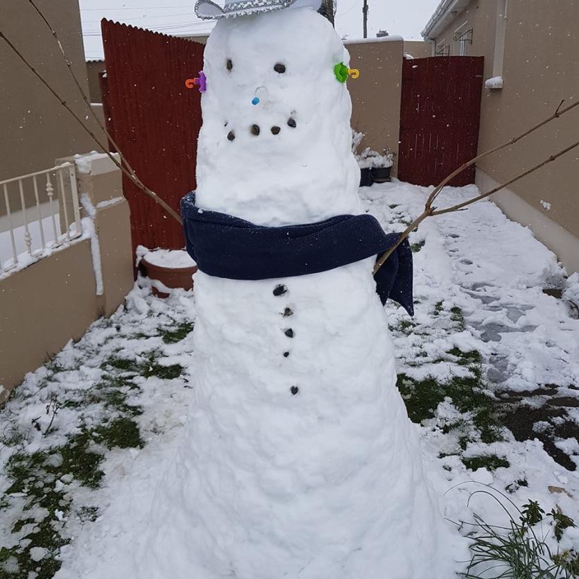 Snow in Tipperary 2018