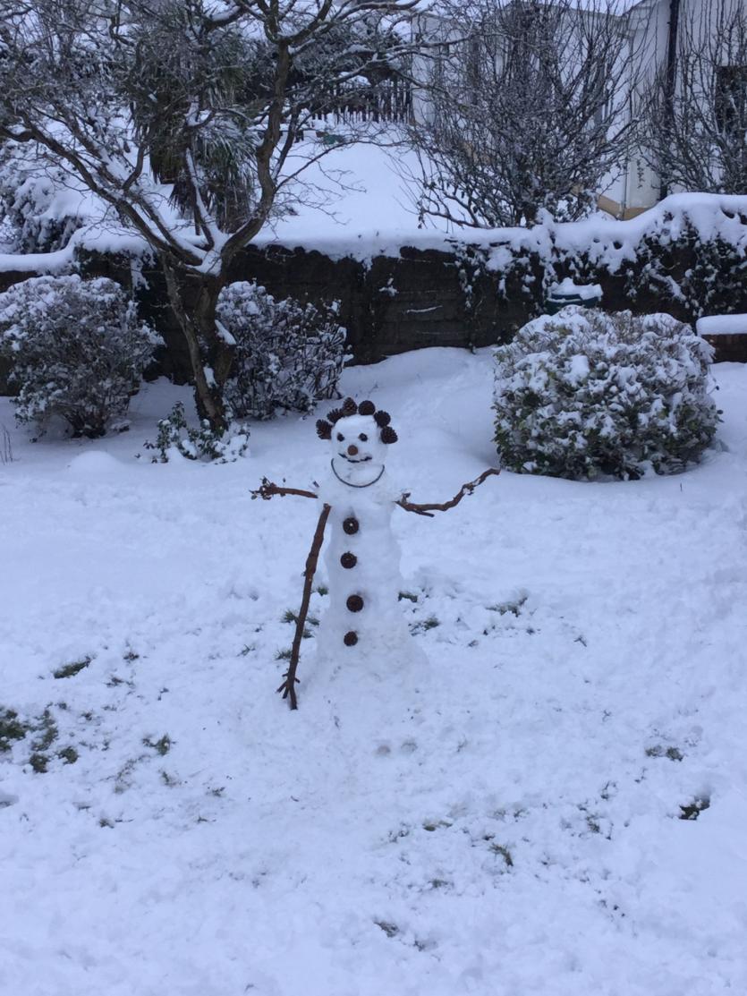 Snow in Tipperary 2018