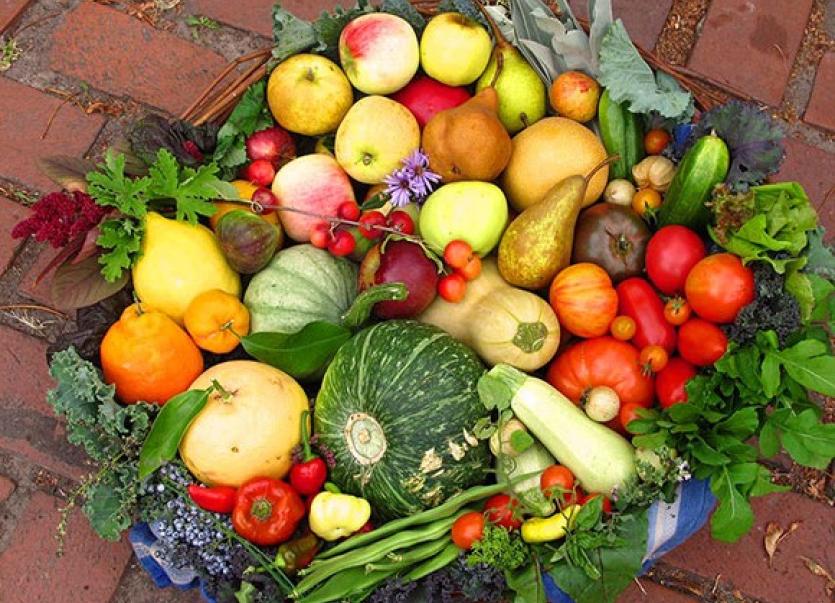 Harvest Festival to serve up a tasty festival of family fun