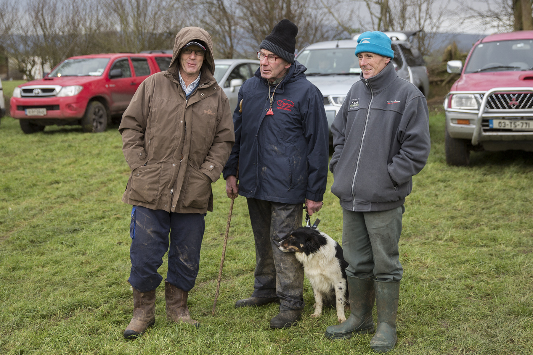 Pictured at the 3 Provinces sheep dog nursery trials finals Andrew Grady Roscommon, Tommy Brennan Louth and Toddy Lambe Wexford