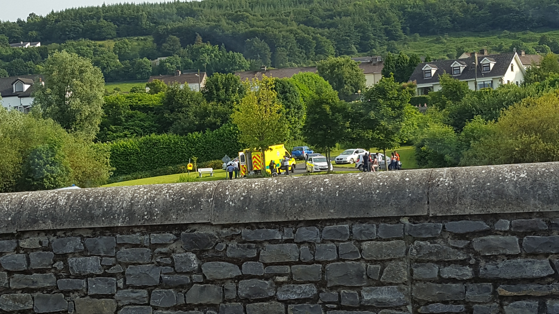 Carrick on Suir River Rescue