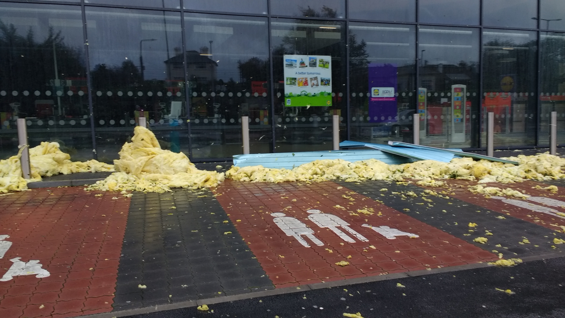 Lidl Ophelia damage