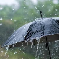 Warnings that River Suir could flood during Storm Austen as Tipperary under yellow rain and wind warning
